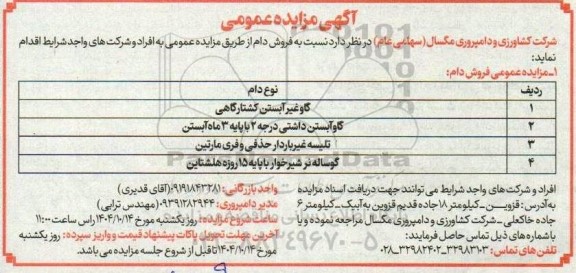 مزایده فروش دام
