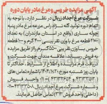 مزایده خروس و مرغ مادر پایان دوره 