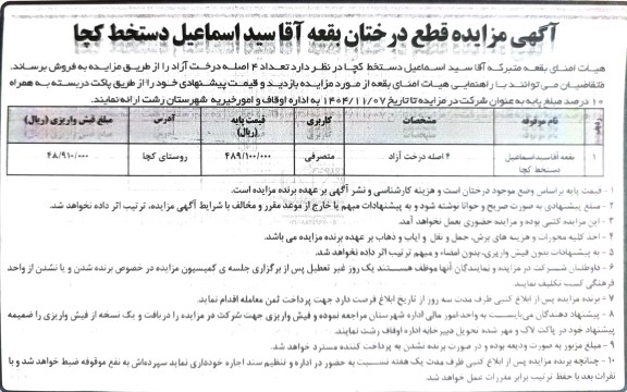 مزایده قطع درختان 