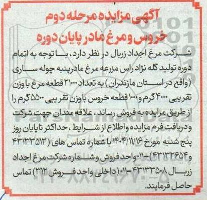 مزایده خروس و مرغ مادر پایان دوره - مرحله دوم 