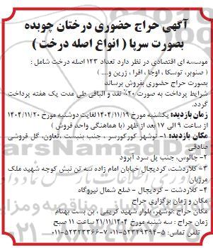  حراج حضوری درختان چوبده بصورت سرپا ( انواع اصله درخت )