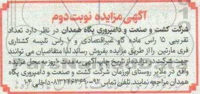 مزایده فروش تعداد تقریبی 15 راس ماده گاو غیراقتصادی ...