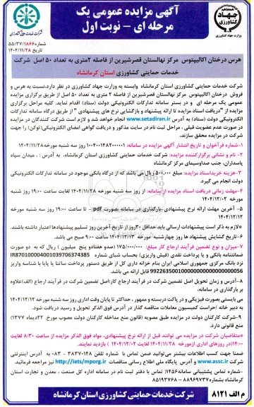 مزایده هرس درختان اکالیپتوس مرکز نهالستان...