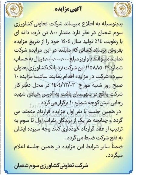 مزایده مقدار 800 تن ذرت دانه ای