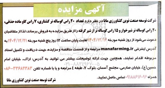مزایده تعداد 20 راس گوساله نر کشتاری 7 راس گاو ماده حذفی 20 راس گوساله نر شیرخوار و 15 راس گوساله تر از شیر گرفته