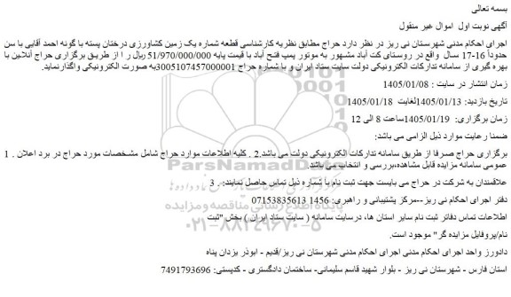 مزایده قطعه شماره یک زمین کشاورزی درختان پسته با گونه احمد آقایی