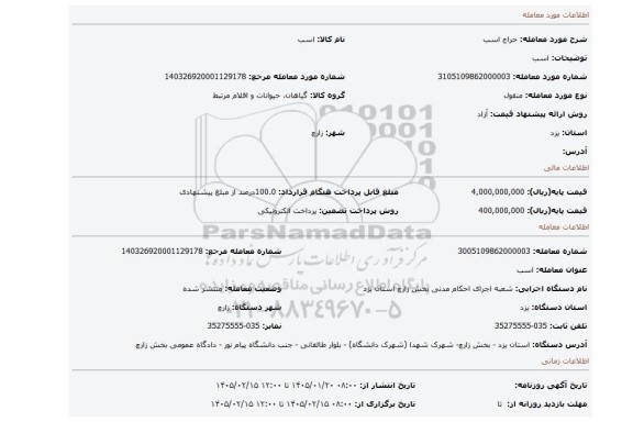 مزایده، اسب