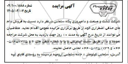 مزایده فروش دام های حذفی اضطراری