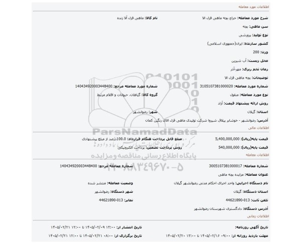 مزایده، بچه ماهی قزل الا