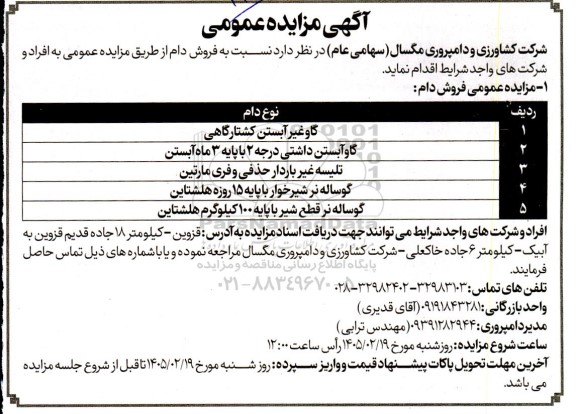 مزایده عمومی فروش دام 