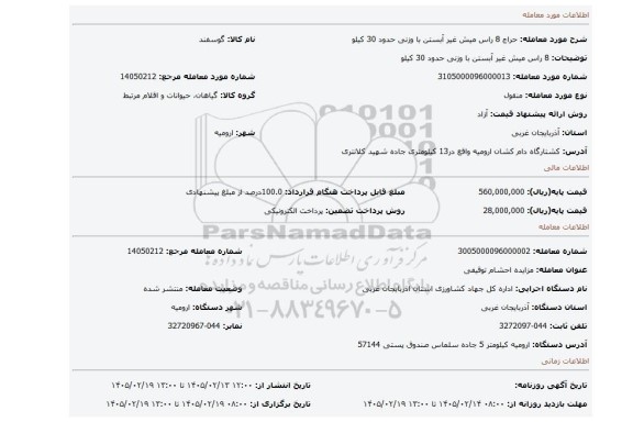 مزایده، 8 راس میش غیر آبستن با وزنی حدود 30 کیلو