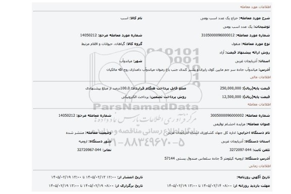 مزایده، یک عدد اسب بومی