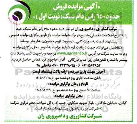  مزایده فروش حدود 650 راس دام سبک