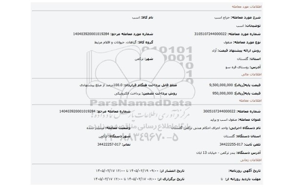 مزایده، اسب