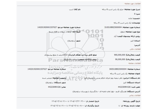 مزایده، یک راس اسب 6 ساله