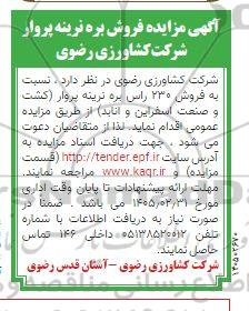 مزایده فروش بره نرینه پروار 