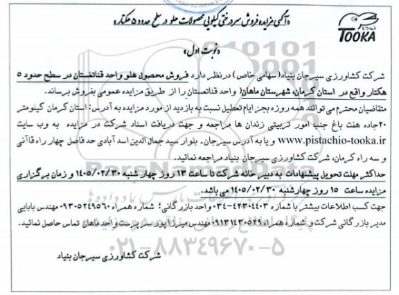 مزایده فروش سردرختی کیلویی محصولات هلو در سطح حدود 5 هکتار