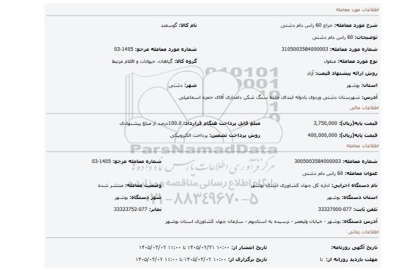 مزایده، 60 راس دام دشتی