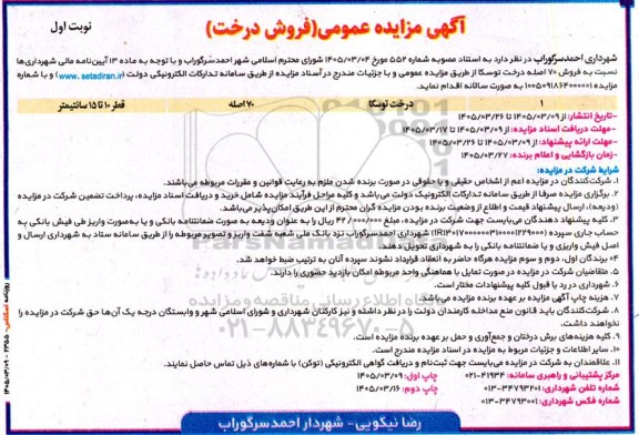 مزایده فروش 70 اصله درخت توسکا 