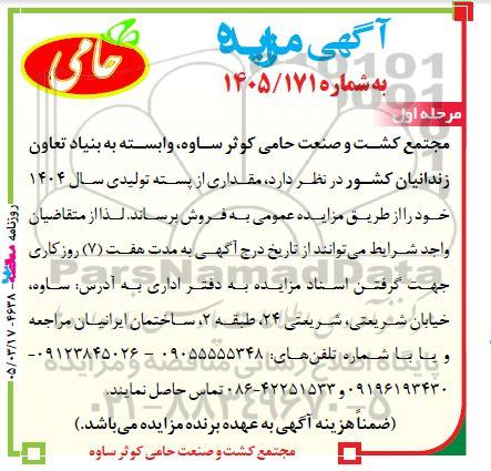 مزایده فروش مقداری از پسته تولیدی 