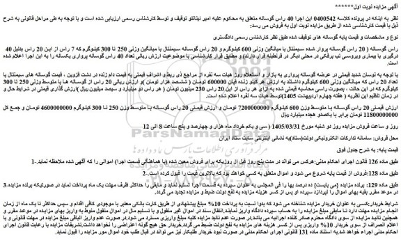 مزایده 40 راس گوساله