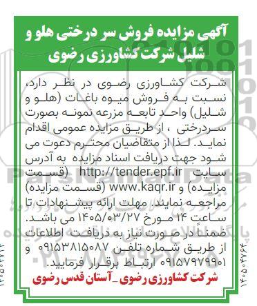 مزایده فروش سر درختی هلو و شلیل 