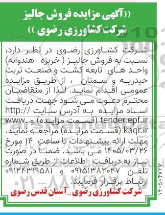 مزایده فروش جالیز 