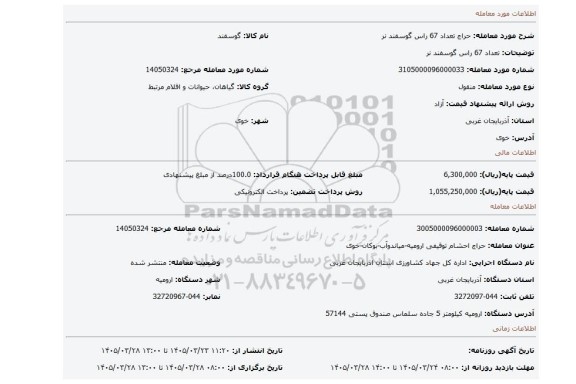 مزایده، تعداد 67 راس گوسفند نر
