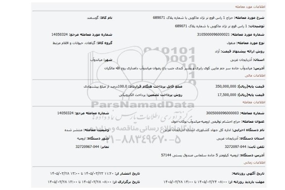 مزایده، 1  راس قوچ نر نژاد ماکویی  با شماره پلاک 689071