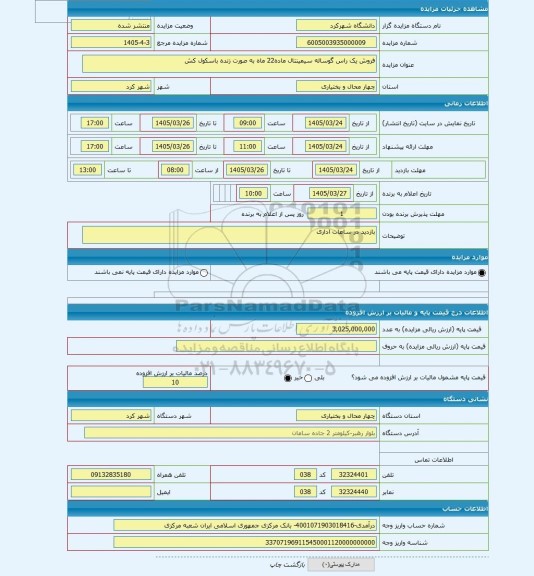 مزایده ، فروش یک راس گوساله سیمینتال ماده22 ماه به صورت زنده باسکول کش
