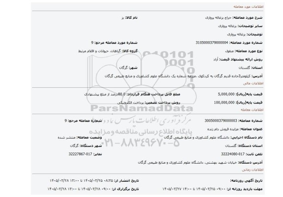 مزایده، بزغاله پرواری