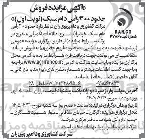  مزایده فروش حدود 300 رأس دام سبک