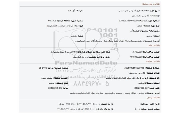 مزایده، 25 راس دام دشتی