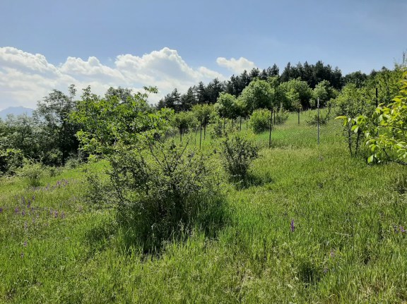 باغچه ۴۳۰ متری با ویلای نوساز در وزملا سوادکوه