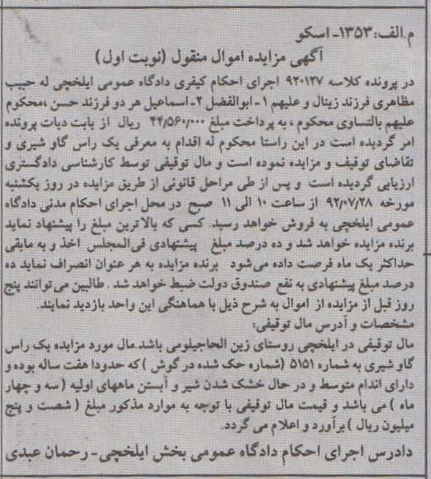 یک راس گاو شیری