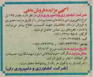 فروش مقدار 165 تن انواع ماهی پرورشی
