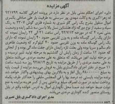 فروش یک راس گاو شیری 
