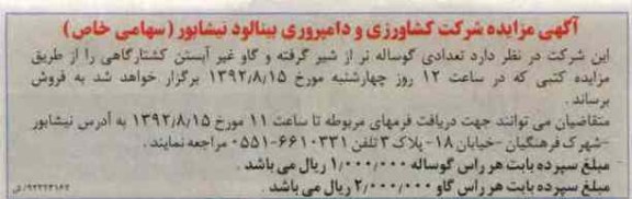 فروش تعدادی گوساله نر و ...