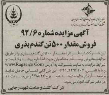فروش مقدار 500 تن گندم بذری 