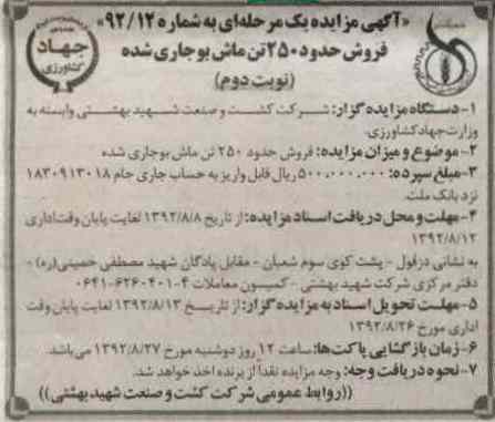 فروش حدود 250 تن ماش بوجاری شده