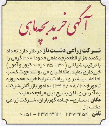 خریداری  تعداد یکصد هزار قطعه بچه ماهی حدودا 200 گرمی