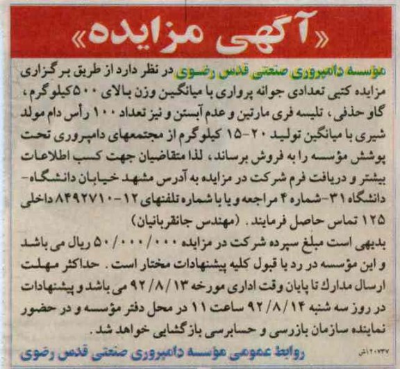 جوانه پرواری با میانگین وزن بالای 500 کیلوگرم و ...