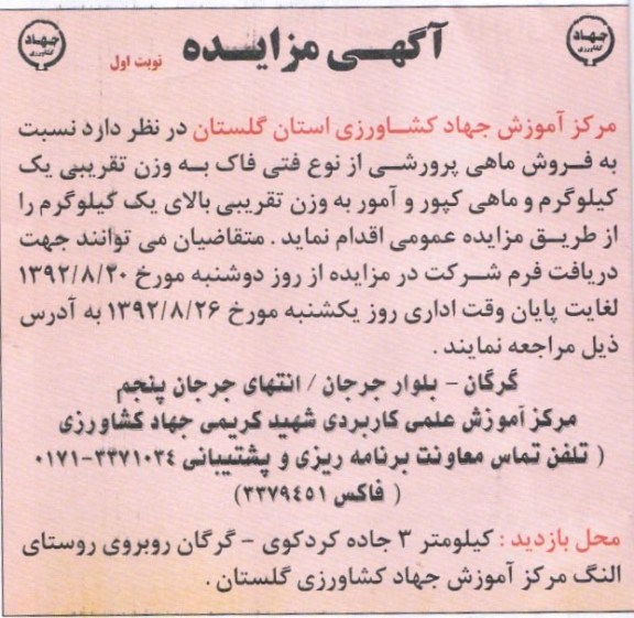فروش ماهی پرورشی