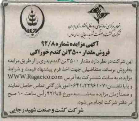 فروش مقدار 3500 تن گندم خوراکی