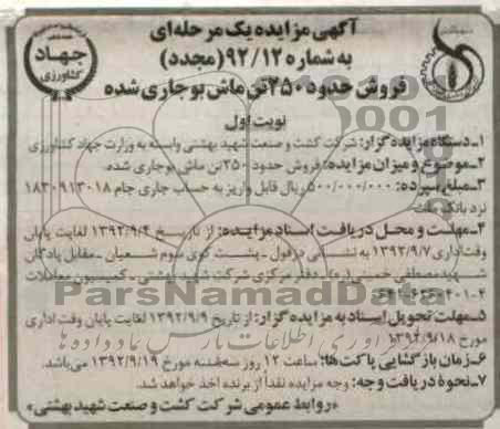 فروش حدود 250 تن ماش بوجاری شده
