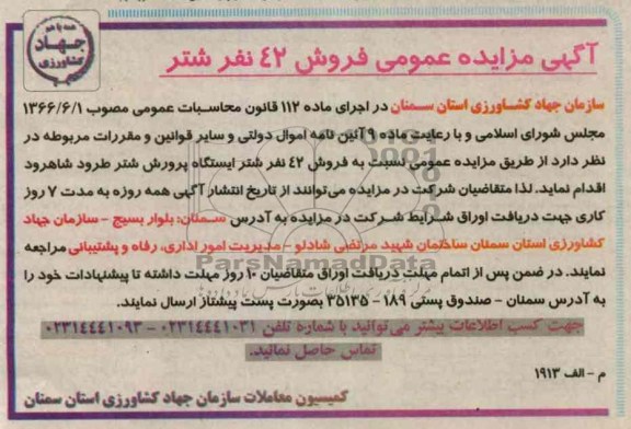 فروش 42 نفر شتر