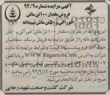 مقدار 100 تن ماش خوراکی و 50 تن ماش نیم دانه