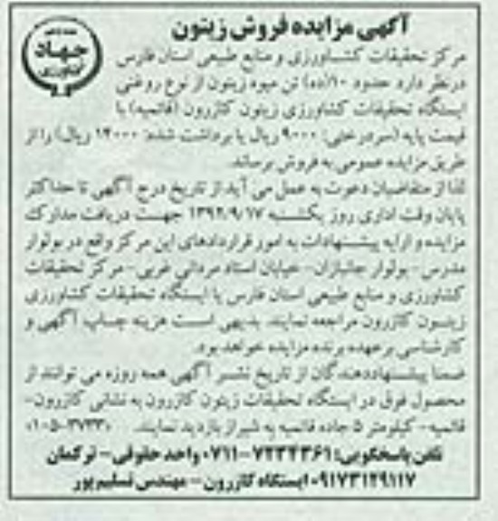 فروش زیتون