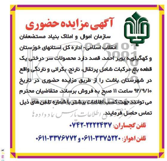 فروش محصولات سردرختی یک قطعه باغ مرکبات