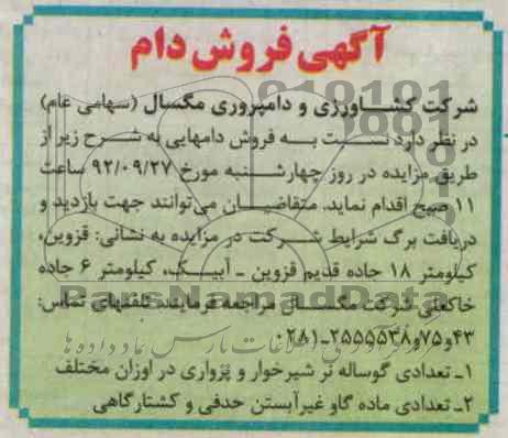فروش دام